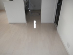 IMGP0494